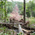 
                  Day 2 - September 28, 2024 Hurricane Helene - Cattail Creek
                