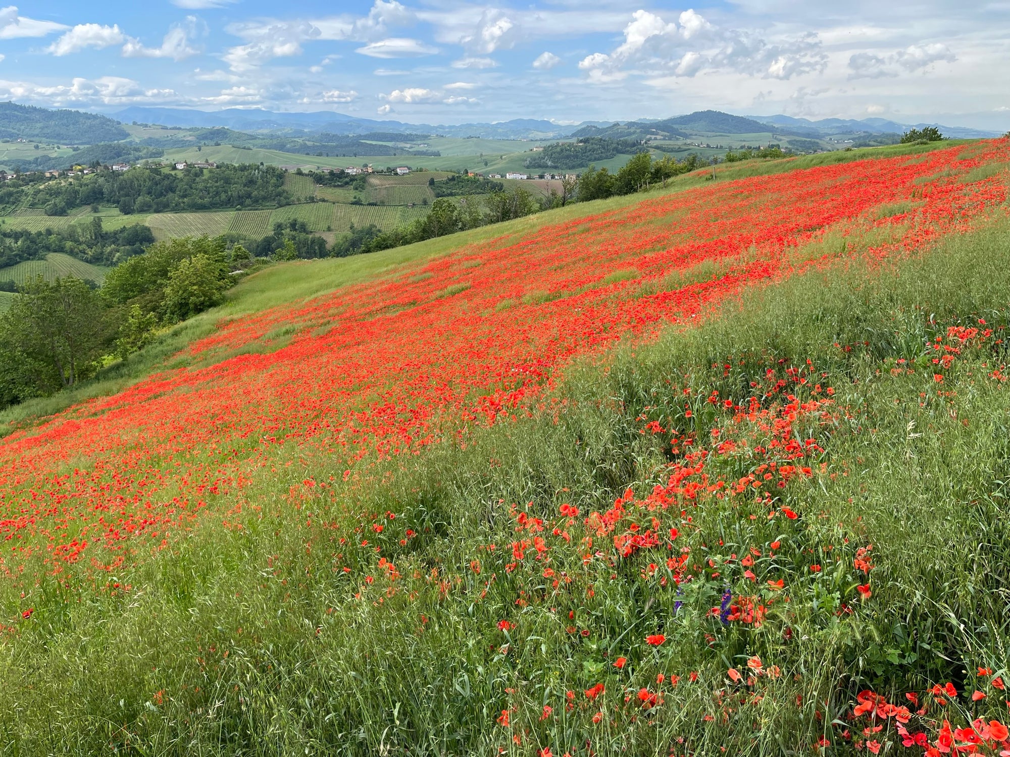Miriam Di Fiore Master Class in Italy