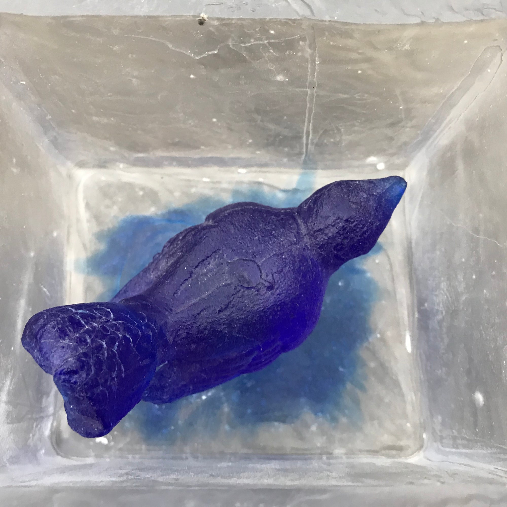 Blue Bird Glass Box
