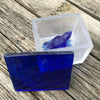 Blue Bird Glass Box