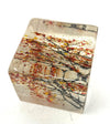Fall Branches Paperweight / Cube