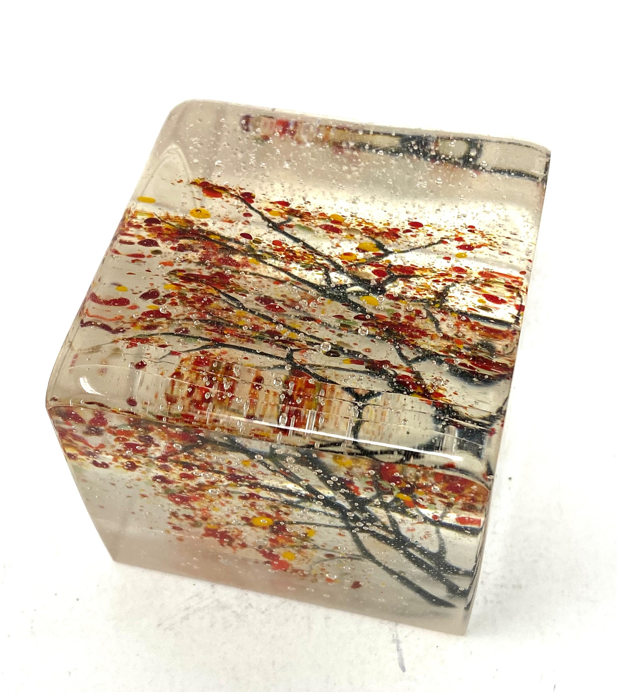 Seasonal Branches Paperweight / Cube