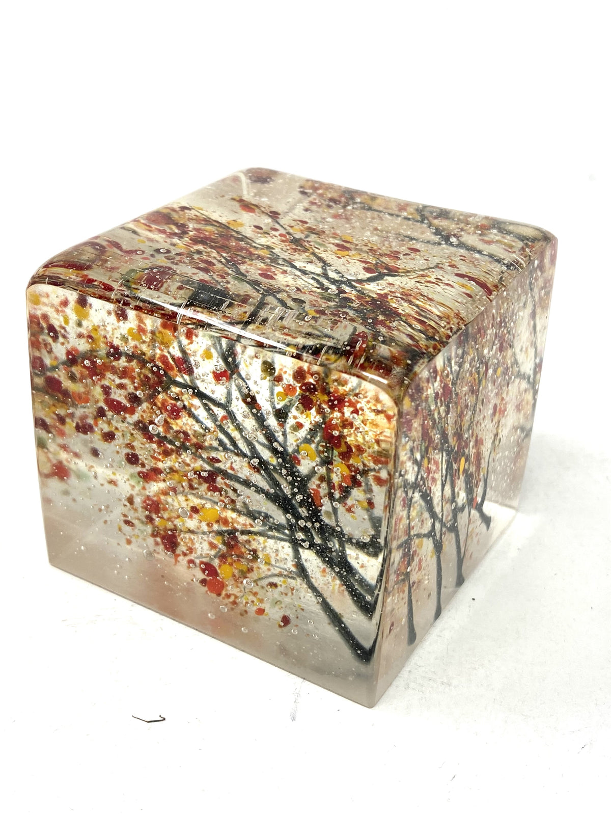 Fall Branches Paperweight / Cube