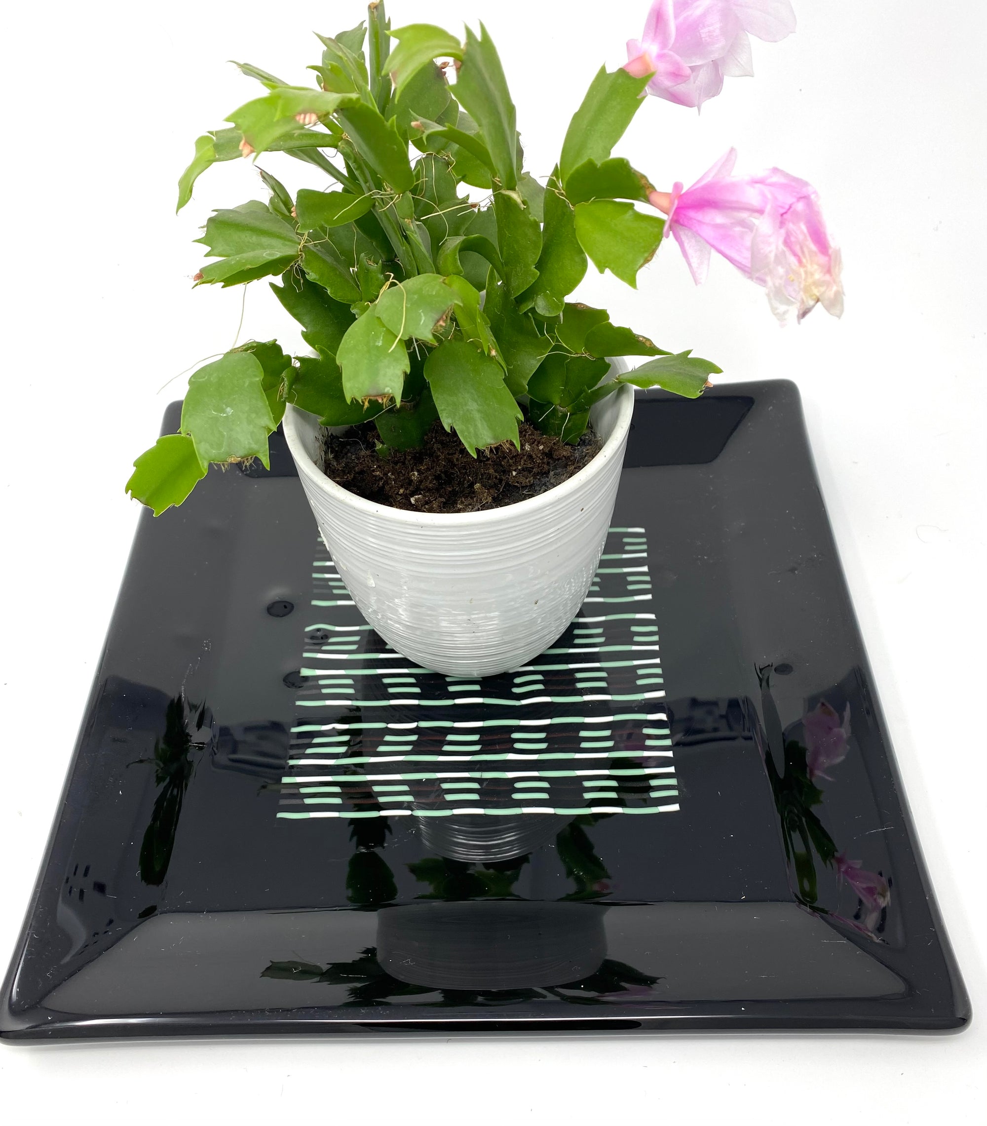 Field Row Pattern Bar Platter